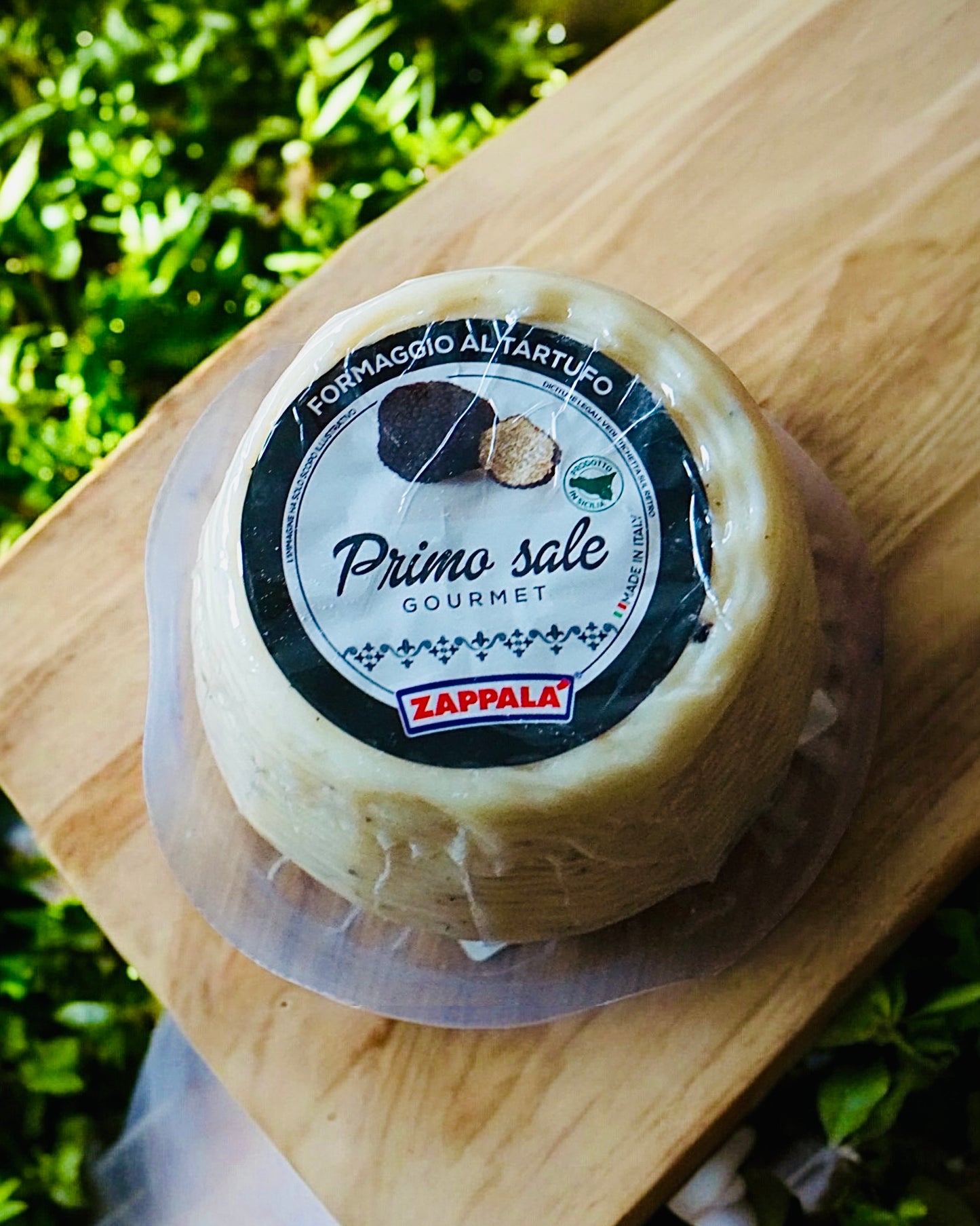 Pecorino Tartufo- Italienischer Schafskäse mit Trüffel