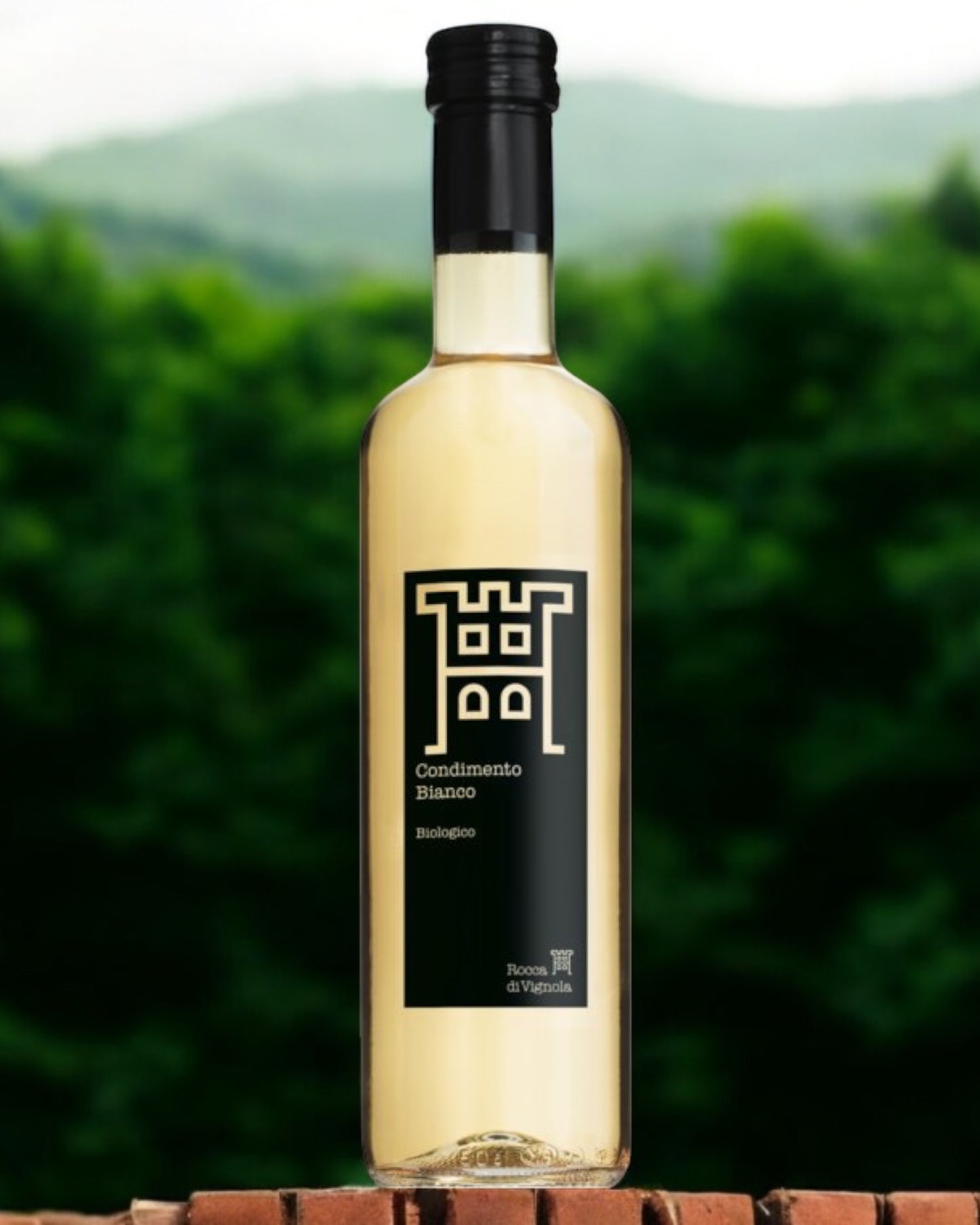 Condimento Balsamico Bianco, Bio